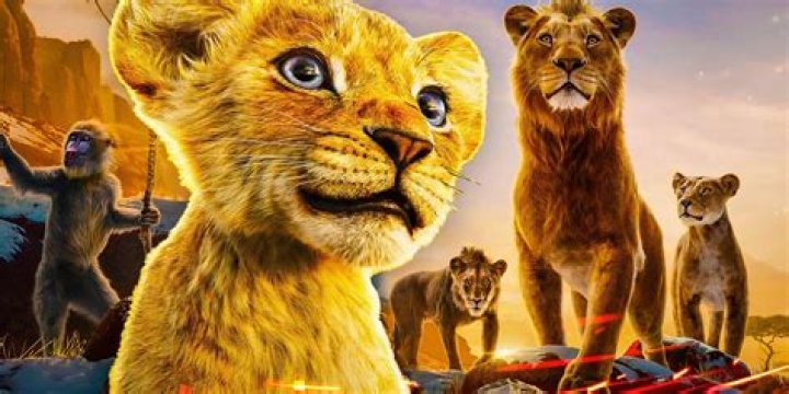 Why is Zira not in Lion King? – Celebrity