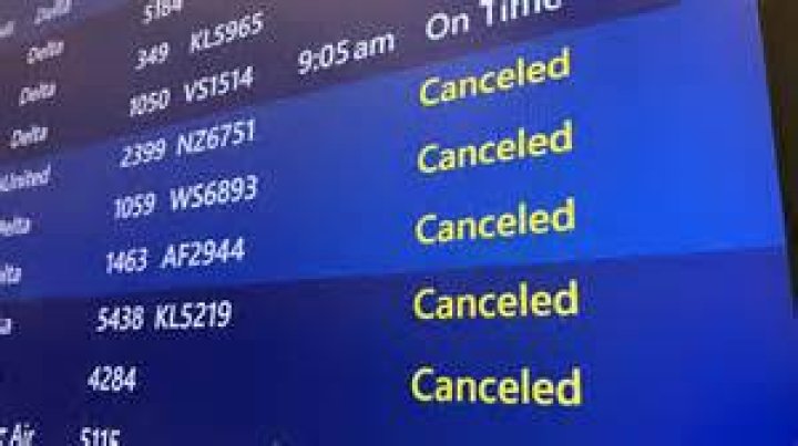 Why was Tool Time Cancelled? – Celebrity