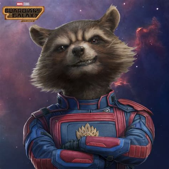 Does Rocket Raccoon die in ‘Guardians of the Galaxy Vol. 3?’